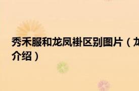 秀禾服和龙凤褂区别图片（龙凤褂和秀禾服的区别相关内容简介介绍）