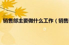 销售部主要做什么工作（销售部是干什么的相关内容简介介绍）