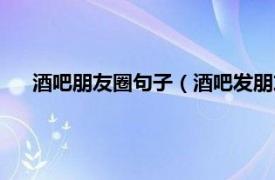 酒吧朋友圈句子（酒吧发朋友圈的语句相关内容简介介绍）