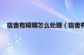 宿舍有蟑螂怎么处理（宿舍有蟑螂怎么办相关内容简介介绍）