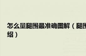 怎么量腿围最准确图解（腿围怎么量的正确量法相关内容简介介绍）