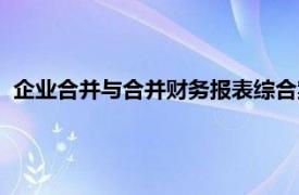 企业合并与合并财务报表综合案例（企业合并与合并财务报表）