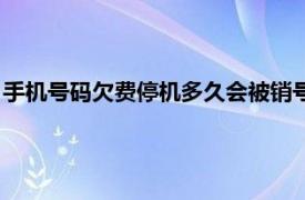 手机号码欠费停机多久会被销号（手机号欠费多久会被自动销号）