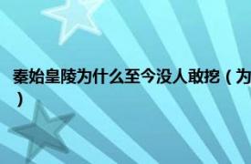 秦始皇陵为什么至今没人敢挖（为什么秦始皇陵没人敢挖相关内容简介介绍）