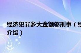 经济犯罪多大金额够刑事（经济犯罪量刑金额标准相关内容简介介绍）