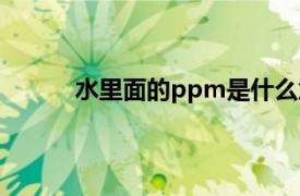 水里面的ppm是什么意思（ppm是什么意思）