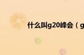 什么叫g20峰会（g20峰会是什么意思啊）