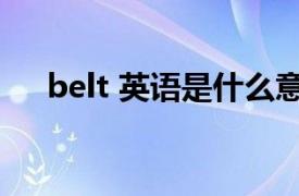 belt 英语是什么意思（belt 英文单词）