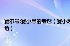 赛尔号:赛小息的老爸（赛小息 中国动画片《赛尔号》系列里的主角）