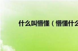 什么叫懵懂（懵懂什么意思相关内容简介介绍）