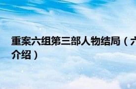 重案六组第三部人物结局（六组重案第三部大结局相关内容简介介绍）