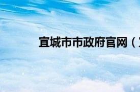 宜城市市政府官网（宜城市人民政府办公室）