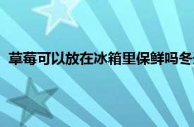 草莓可以放在冰箱里保鲜吗冬天（草莓可以放在冰箱里保鲜吗）