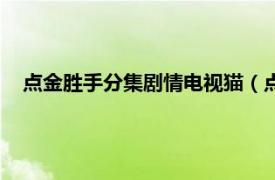 点金胜手分集剧情电视猫（点金胜手结局相关内容简介介绍）