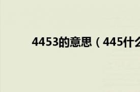 4453的意思（445什么意思相关内容简介介绍）