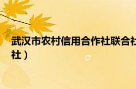 武汉市农村信用合作社联合社地址（武汉市农村信用合作社联合社）