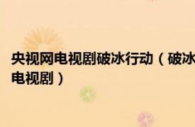 央视网电视剧破冰行动（破冰行动 2019年傅东育、刘璋牧执导的电视剧）