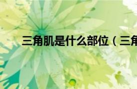 三角肌是什么部位（三角肌在哪相关内容简介介绍）