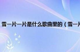 雪一片一片是什么歌曲里的（雪一片一片一片是什么歌相关内容简介介绍）