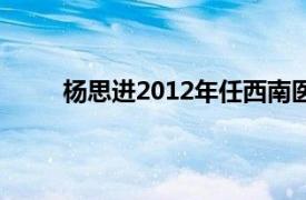 杨思进2012年任西南医科大学附属中医医院院长