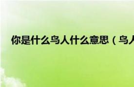 你是什么鸟人什么意思（鸟人是什么意思相关内容简介介绍）