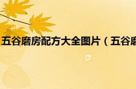 五谷磨房配方大全图片（五谷磨房有哪些配方相关内容简介介绍）