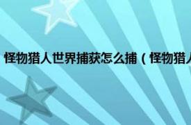 怪物猎人世界捕获怎么捕（怪物猎人世界怎么捕获怪物相关内容简介介绍）