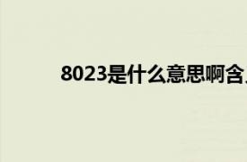 8023是什么意思啊含义（8023的含义是什么）