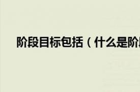 阶段目标包括（什么是阶段性目标相关内容简介介绍）