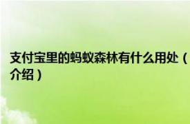 支付宝里的蚂蚁森林有什么用处（支付宝的蚂蚁森林有什么用相关内容简介介绍）