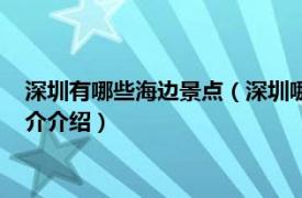 深圳有哪些海边景点（深圳哪个海边旅游景点好一些相关内容简介介绍）