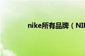 nike所有品牌（NIKE 美国体育运动品牌）