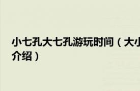 小七孔大七孔游玩时间（大小七孔旅游攻略是什么相关内容简介介绍）