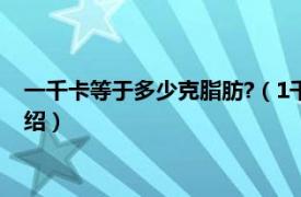 一千卡等于多少克脂肪?（1千卡等于多少克脂肪相关内容简介介绍）