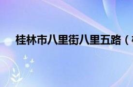 桂林市八里街八里五路（桂林八里街经济技术开发区）