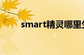 smart精灵哪里生产（smart精灵）