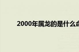 2000年属龙的是什么命（98年属虎的是什么命）