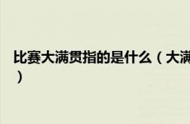 比赛大满贯指的是什么（大满贯 指在某领域获得过所有顶级奖项）