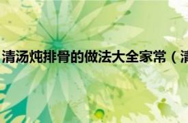 清汤炖排骨的做法大全家常（清汤排骨的做法相关内容简介介绍）