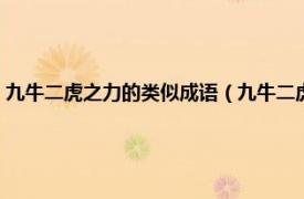 九牛二虎之力的类似成语（九牛二虎之力同一类的成语相关内容简介介绍）