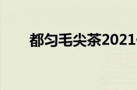 都匀毛尖茶2021价格表（都匀毛尖）