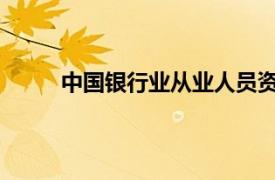 中国银行业从业人员资格认证考试指导用书下载