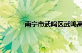 南宁市武鸣区武鸣高级中学是民办还是公办