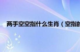 两手空空指什么生肖（空指的是什么生肖相关内容简介介绍）