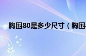 胸围80是多少尺寸（胸围80是多大相关内容简介介绍）