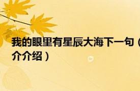 我的眼里有星辰大海下一句（眼中有星辰大海下一句相关内容简介介绍）