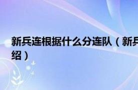 新兵连根据什么分连队（新兵下连队有什么连队相关内容简介介绍）