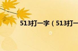 513打一字（513打一成语相关内容简介介绍）