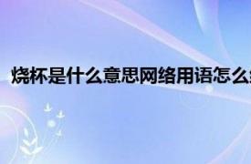 烧杯是什么意思网络用语怎么组词（烧杯是什么意思网络用语）