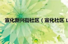 宣化新兴街社区（宣化社区 山东四方区嘉兴路街道下辖社区）